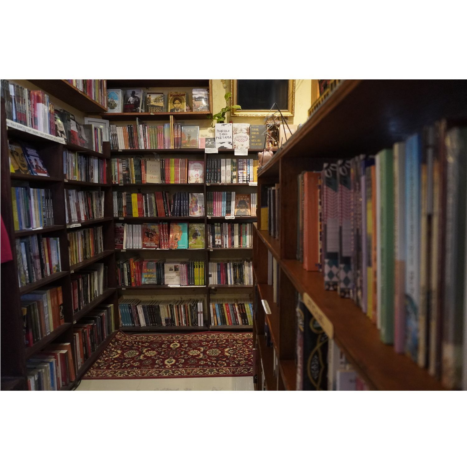 The Best Books I Read in 2025